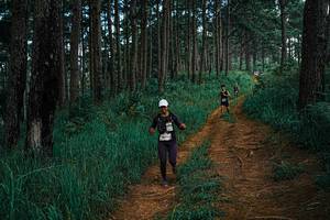 BIB: 
                            <button type="button" onclick="openModal(25737769)" class="btn btn-primary btn-sm float-right btn-popup" data-toggle="modal" data-target=".modal-high-quality">
                        <i class="fas fa-shopping-cart"></i> Add to Cart
                    </button>
                                            <button type="button" onclick="isThisMe(25737769, true)" class="btn btn-success btn-sm float-right btn-popup btn-isme hidden" data-toggle="tooltip" data-placement="bottom" title="นี่คือรูปของคุณใช่ไหม คลิกที่นี่เพื่อเอาเข้าอัลบั้ม">
                        <i class="fas fa-plus"></i> Add to album
                    </button>
                    <button type="button" onclick="isThisMe(25737769, false)" class="btn btn-warning btn-sm float-right btn-popup btn-isnotme hidden">
                        <i class="fas fa-ban"></i> Remove from album
                    </button>